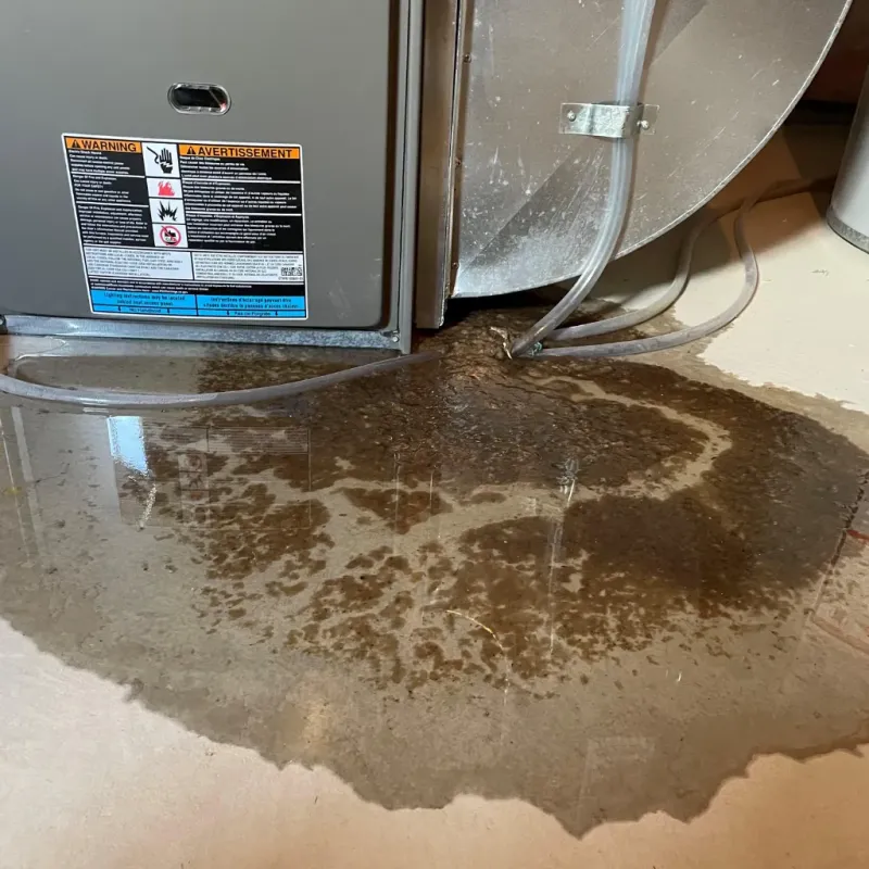 Appliance Leak Cleanup in Ford County, KS